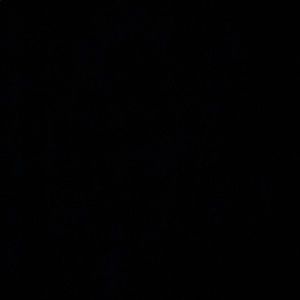 Meet your Posher, Brad